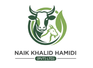 naikkhalidhamidi.com